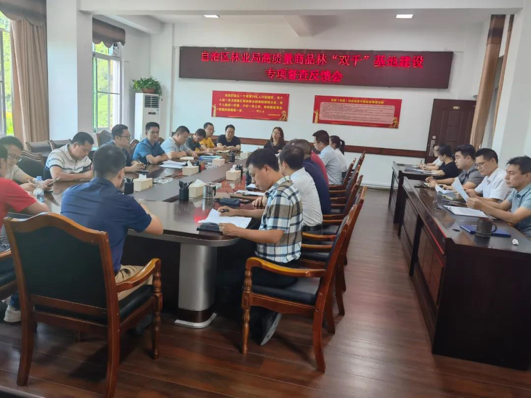 自治区林业局到WG电子集团发展国储林项目建设专项督查