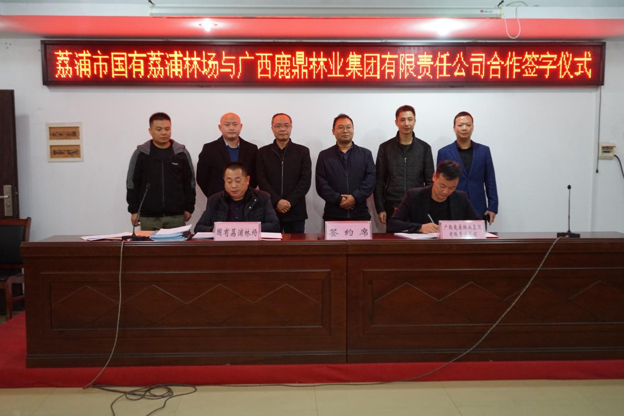 WG电子集团与国有荔浦林场签定商品林地合作和谈，，，本次合同签定面积22000亩。