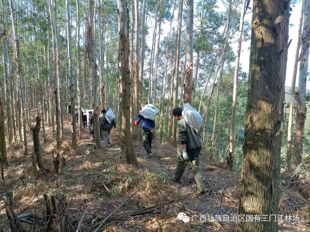 微信图片_20220531174054.jpg 微信图片_20220531174054.jpg