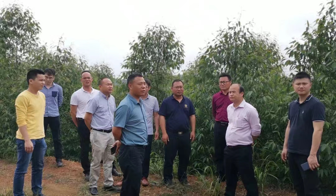 工作会2.jpg 工作会2.jpg