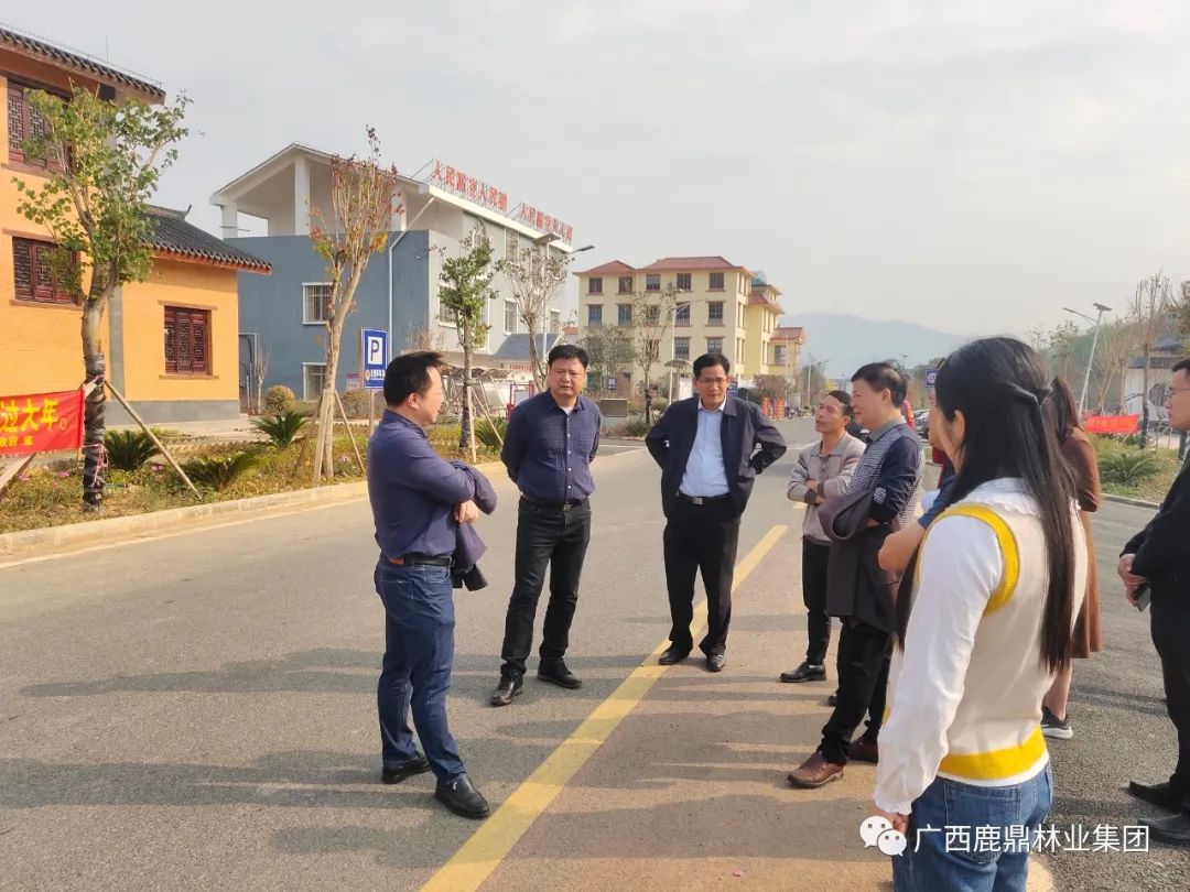 自治区林业局调研组到鹿寨县调研领导国储林建设现场推动会筹备工作.jpg