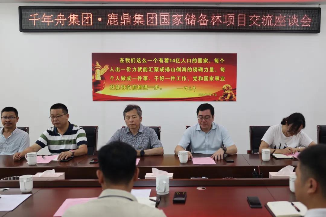 千年舟集团到WG电子集团互换国储林建设项目2.jpg