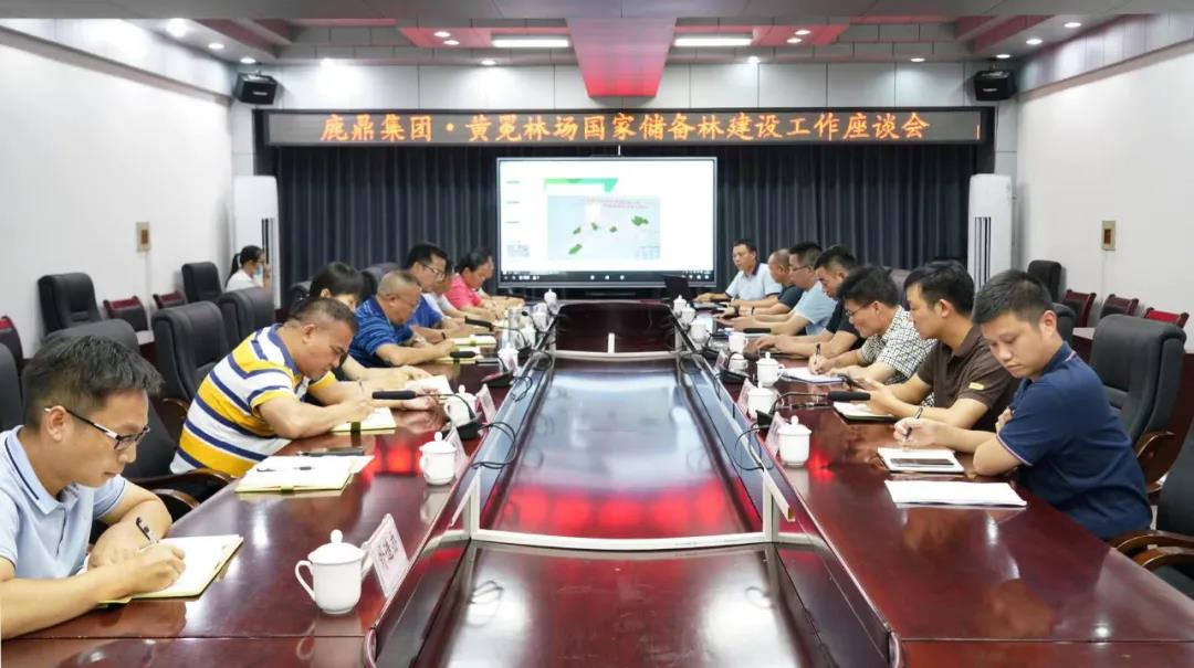 WG电子林业集团与黄冕林场座谈互换国储林建设工作1.jpg