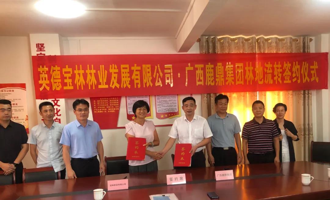 WG电子集团与宝林公司签定9100亩林地林木流转和谈1.jpg