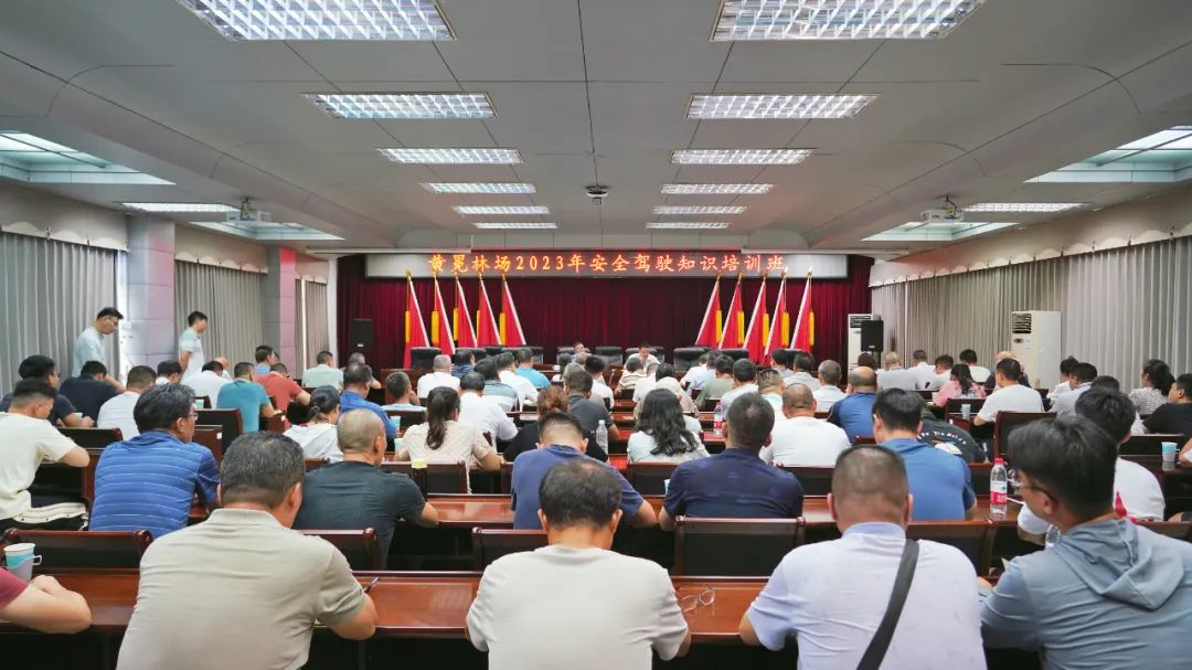 WG电子林业集团参与2023年安全驾驶知识培训班