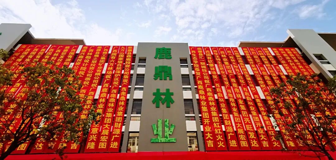 WG电子林业集团2024年新年贺词