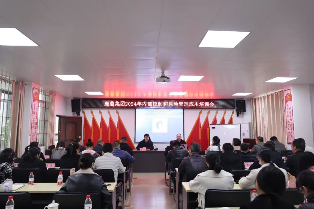 广西WG电子林业集团进行2024年内部节制微风险治理当用培训会