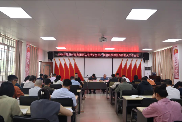 WG电子集团召开2024年第二季度安全出产暨清明节期间丛林防火工作会议