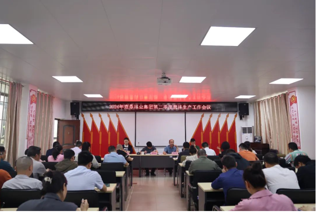 WG电子林业集团召开2024年第二季度营林出产工作会议