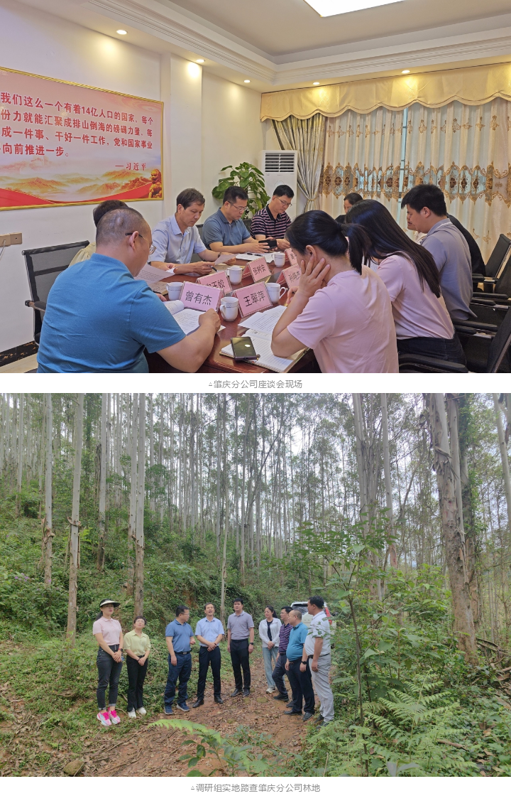 20240603090758260 WG电子(中国区) - 官方网站