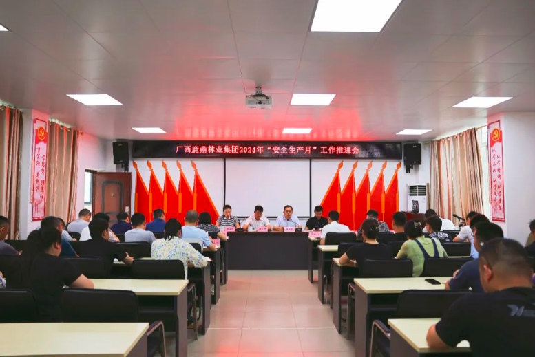 WG电子集团召开2024年“安全出产月”工作推动会