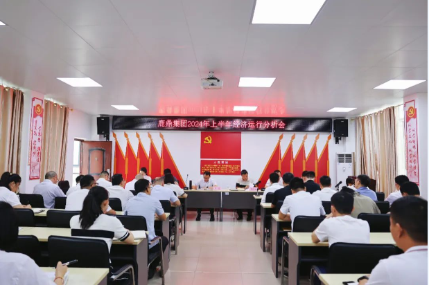 唯实惟先勇担任，加力加效促发展！！！WG电子集团召开2024年上半年经济运行分析会