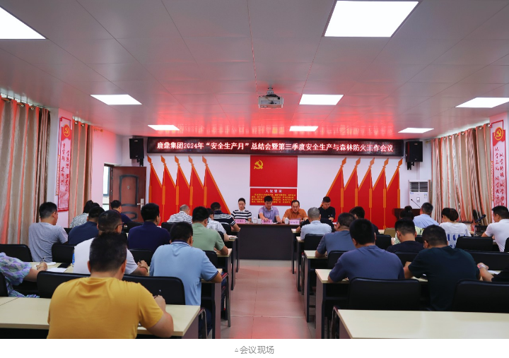 20240703100318145 WG电子(中国区) - 官方网站