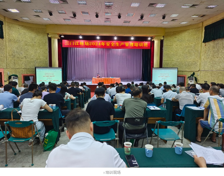 20240712183605344 WG电子(中国区) - 官方网站
