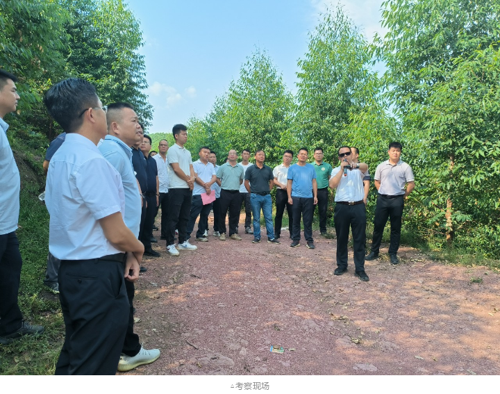 WG电子(中国区) - 官方网站
