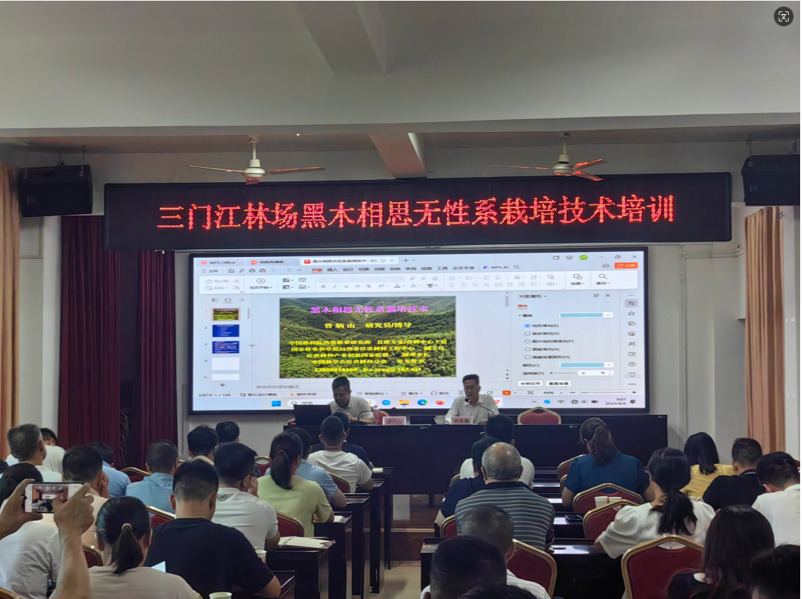 WG电子(中国区) - 官方网站