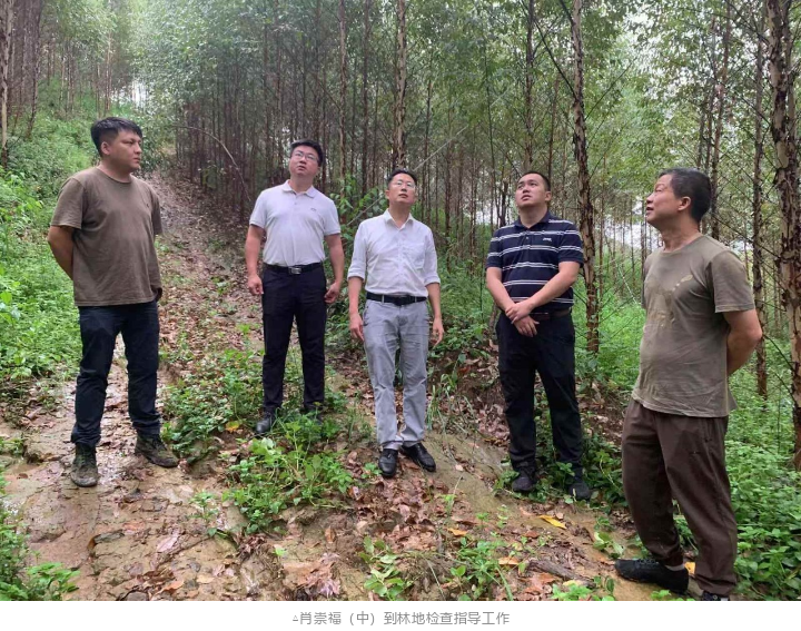 20240814175328213 WG电子(中国区) - 官方网站