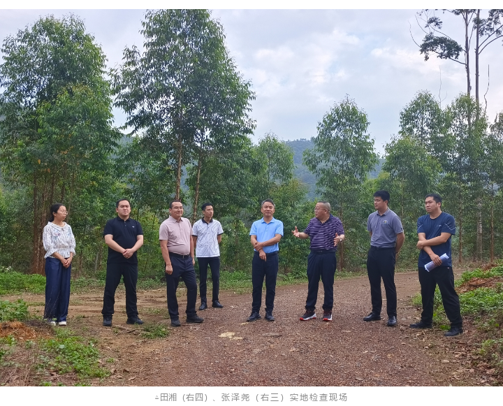 20250519113706898 WG电子(中国区) - 官方网站