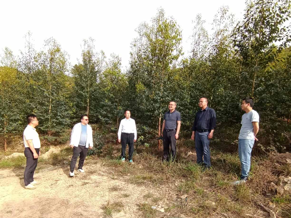 WG电子(中国区) - 官方网站