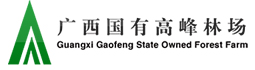 link2 WG电子(中国区) - 官方网站